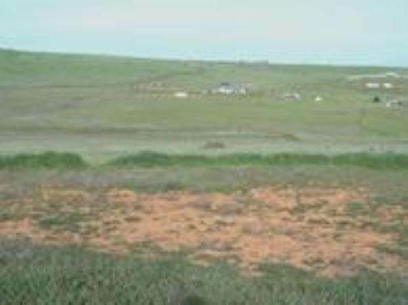 S Shingle Road, Shingle Springs, California image 6