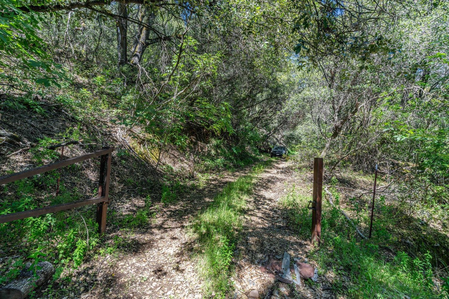12.55 Acres On Red Corral Rd Road, Pioneer, California image 2
