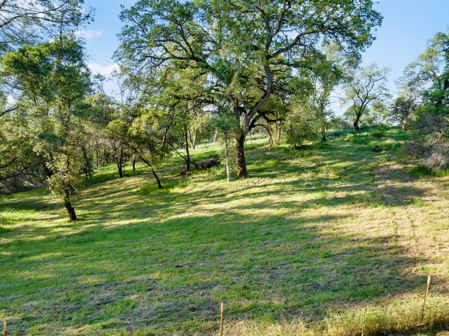 Maranatha Lane, Lincoln, California image 15