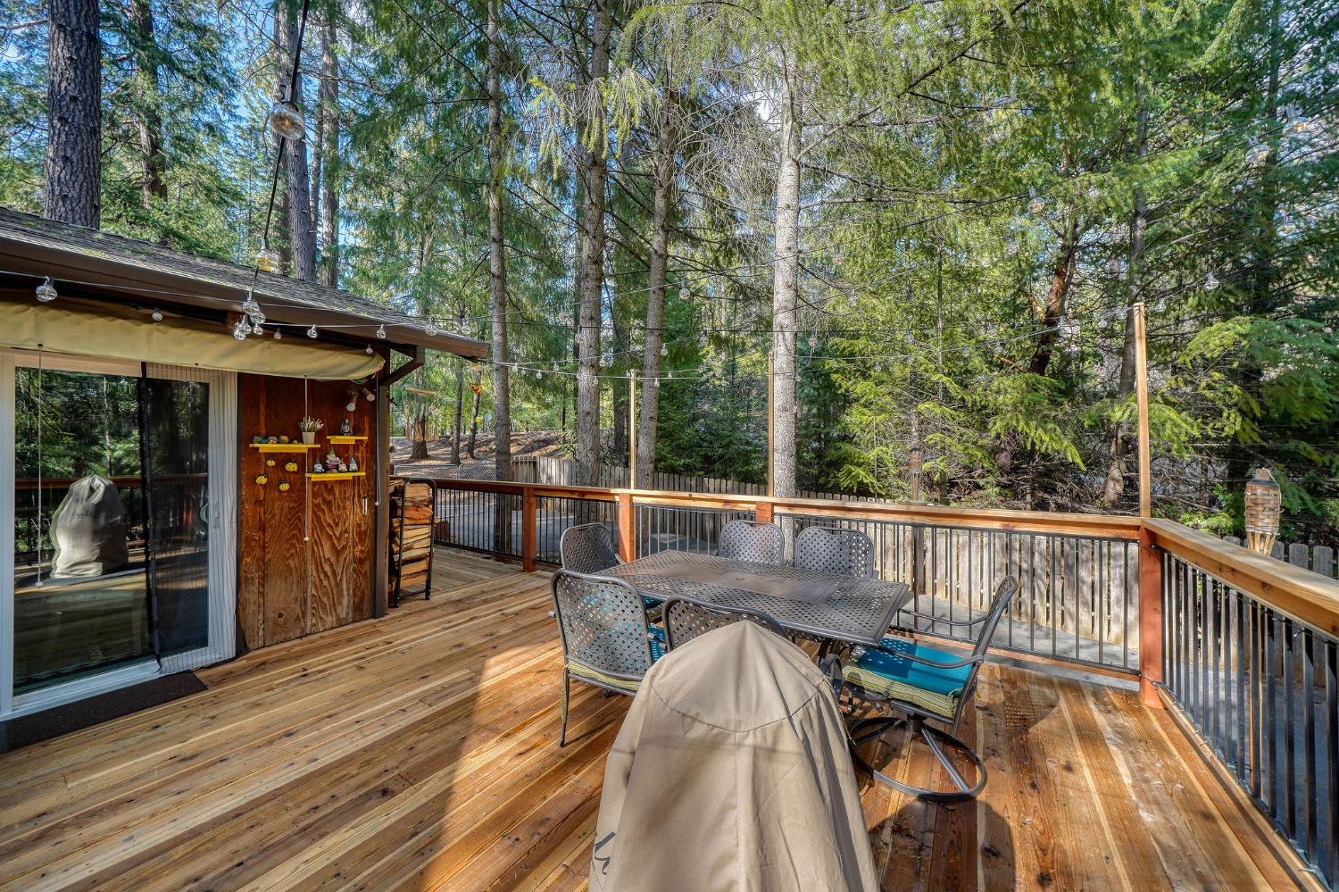 Sugar Pine Drive, Pioneer, California image 15