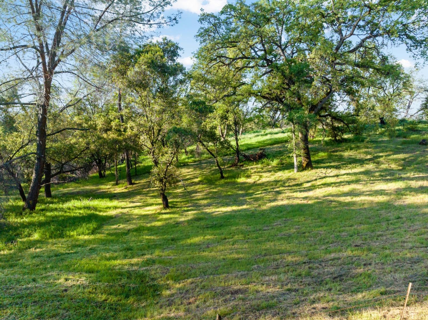 Maranatha Lane, Lincoln, California image 14
