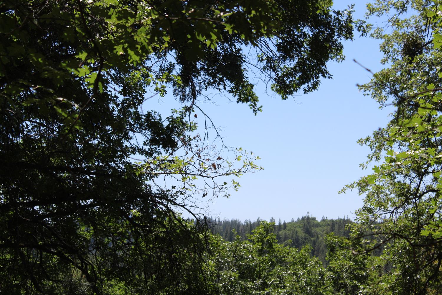 Hwy 26, West Point, California image 19