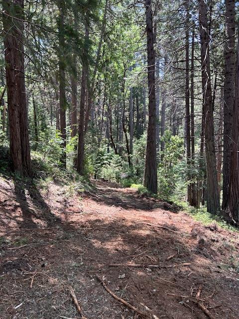 Pearson Road, Grass Valley, California image 30