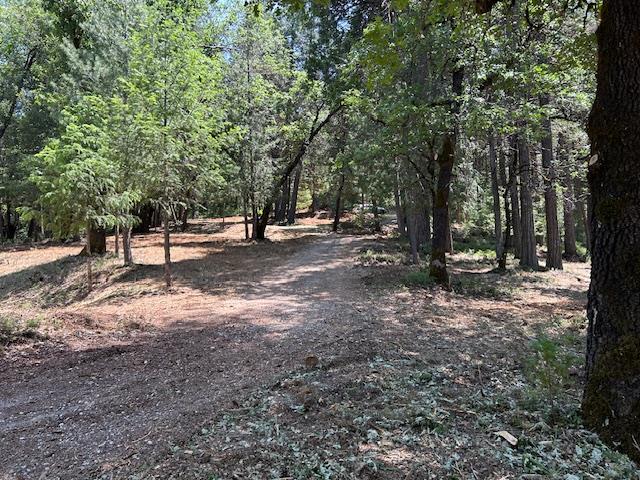 Pearson Road, Grass Valley, California image 26