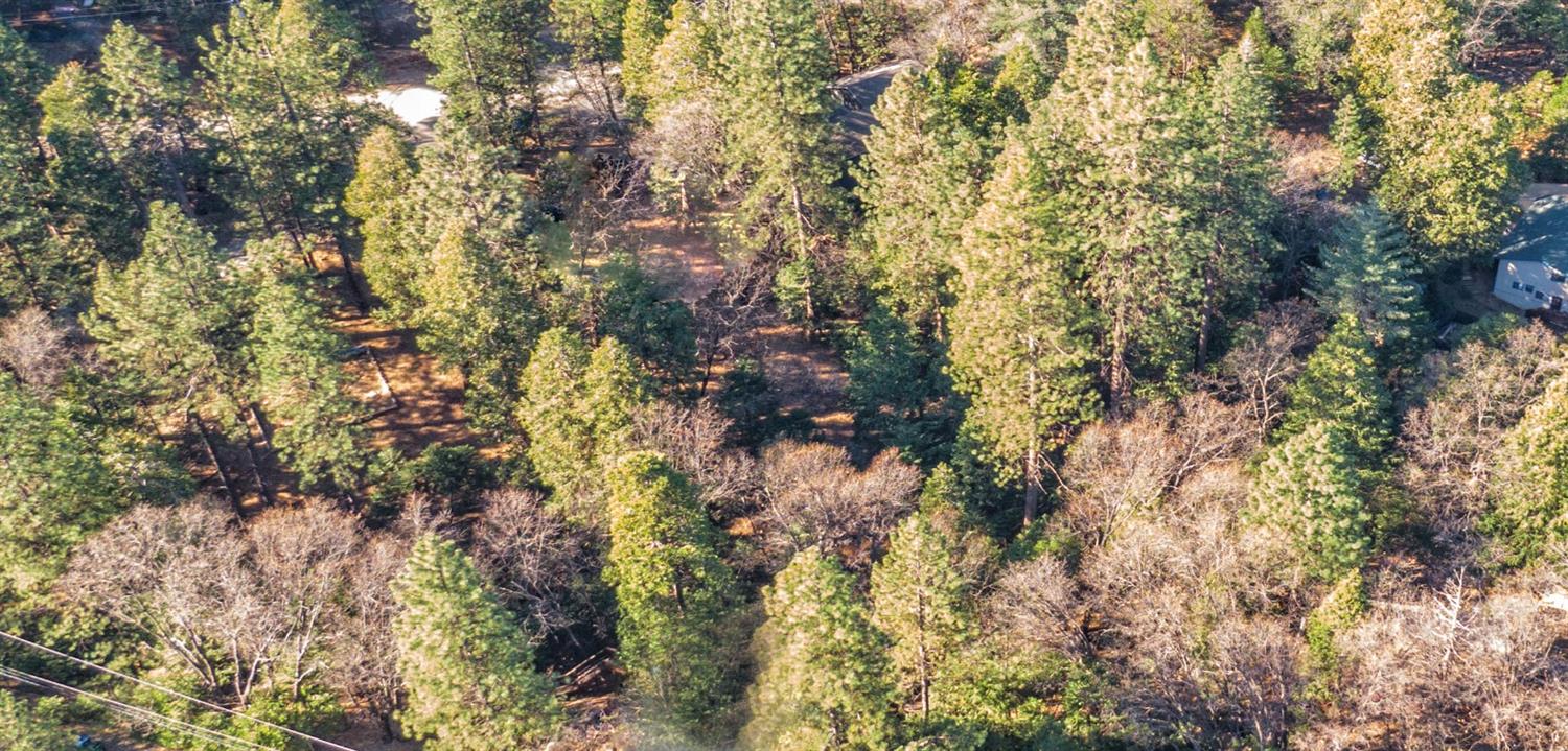 Awahanee Road, Sonora, California image 5