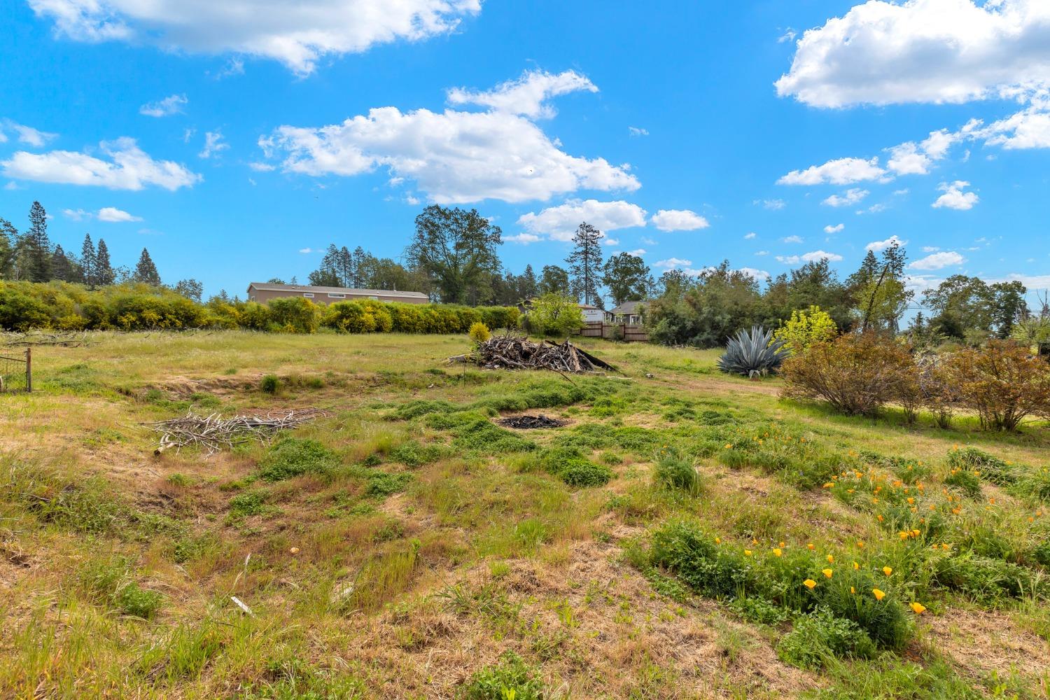 Deerpark Lane, Paradise, California image 8
