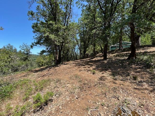 Pearson Road, Grass Valley, California image 27