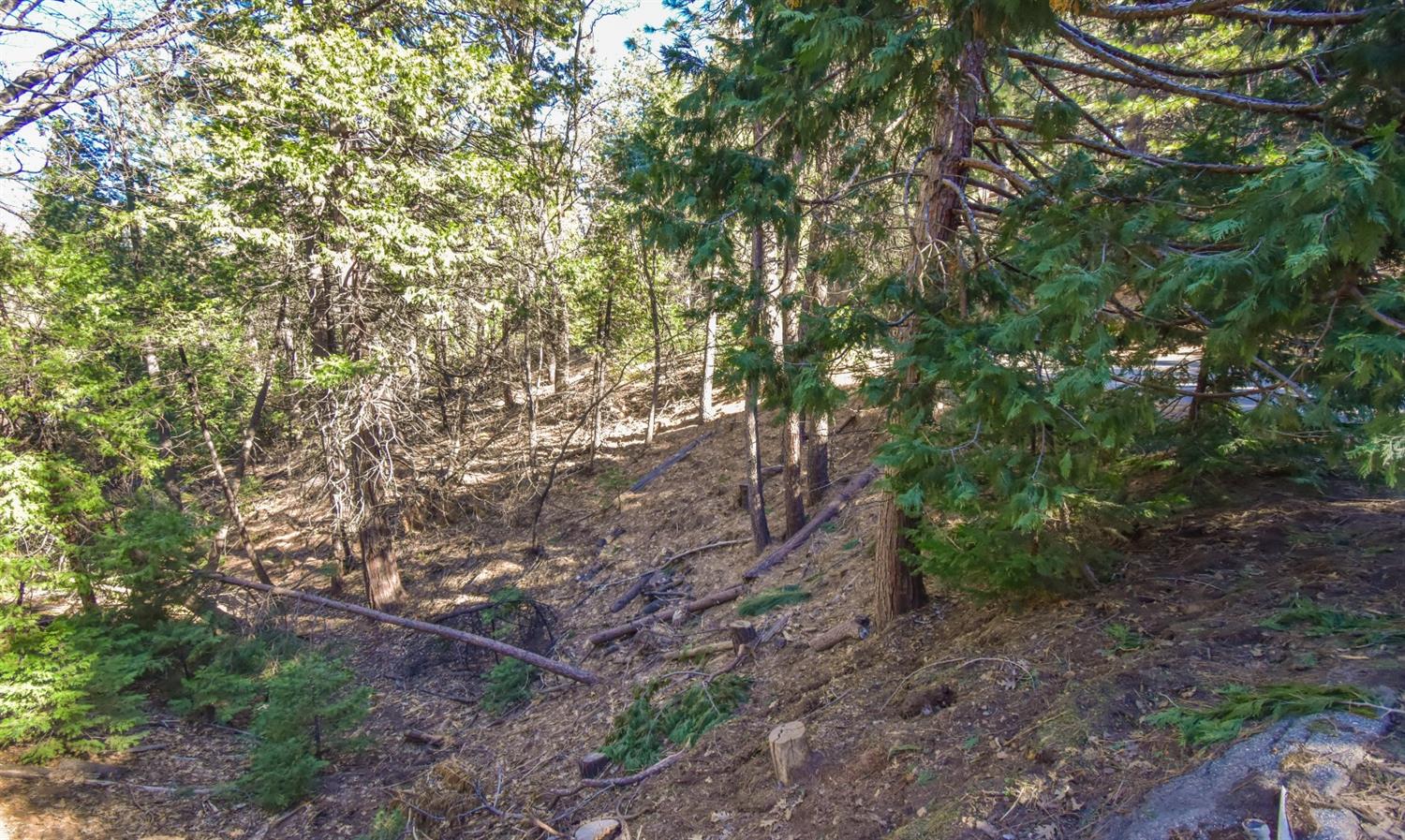 Awahanee Road, Sonora, California image 19