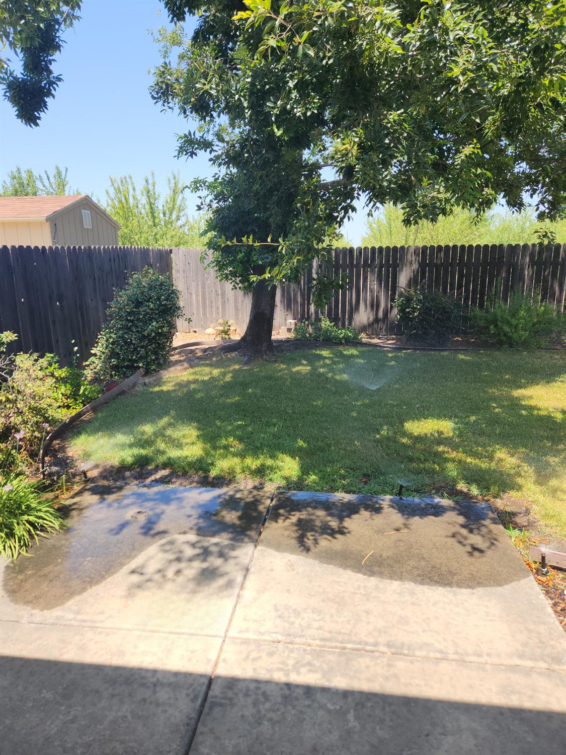 Kim Way, Yuba City, California image 32