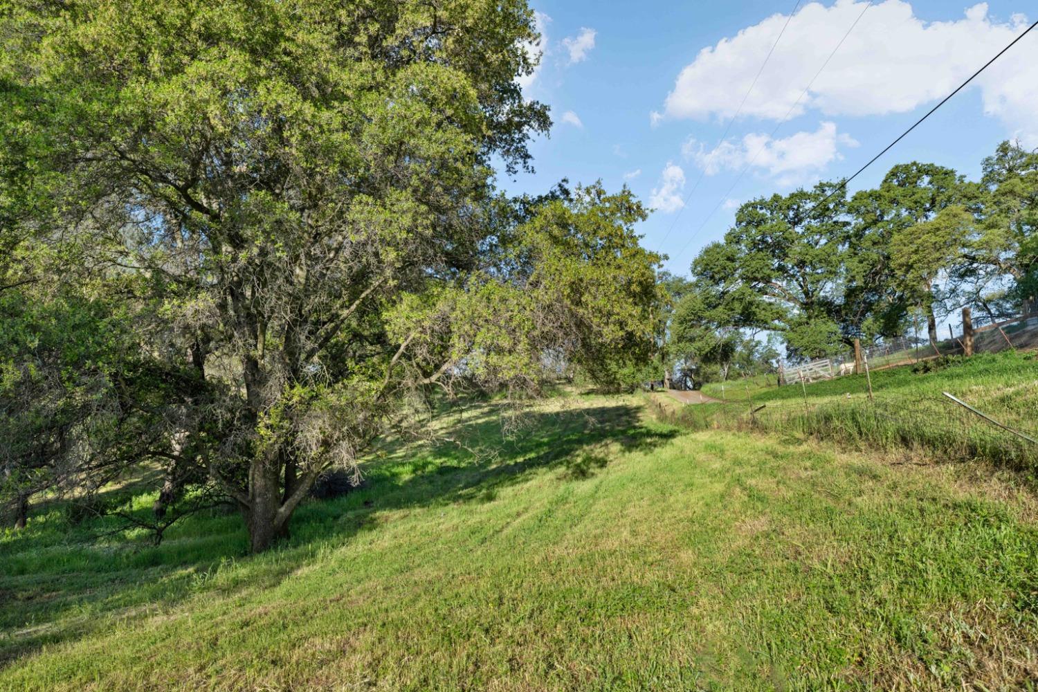 Maranatha Lane, Lincoln, California image 11
