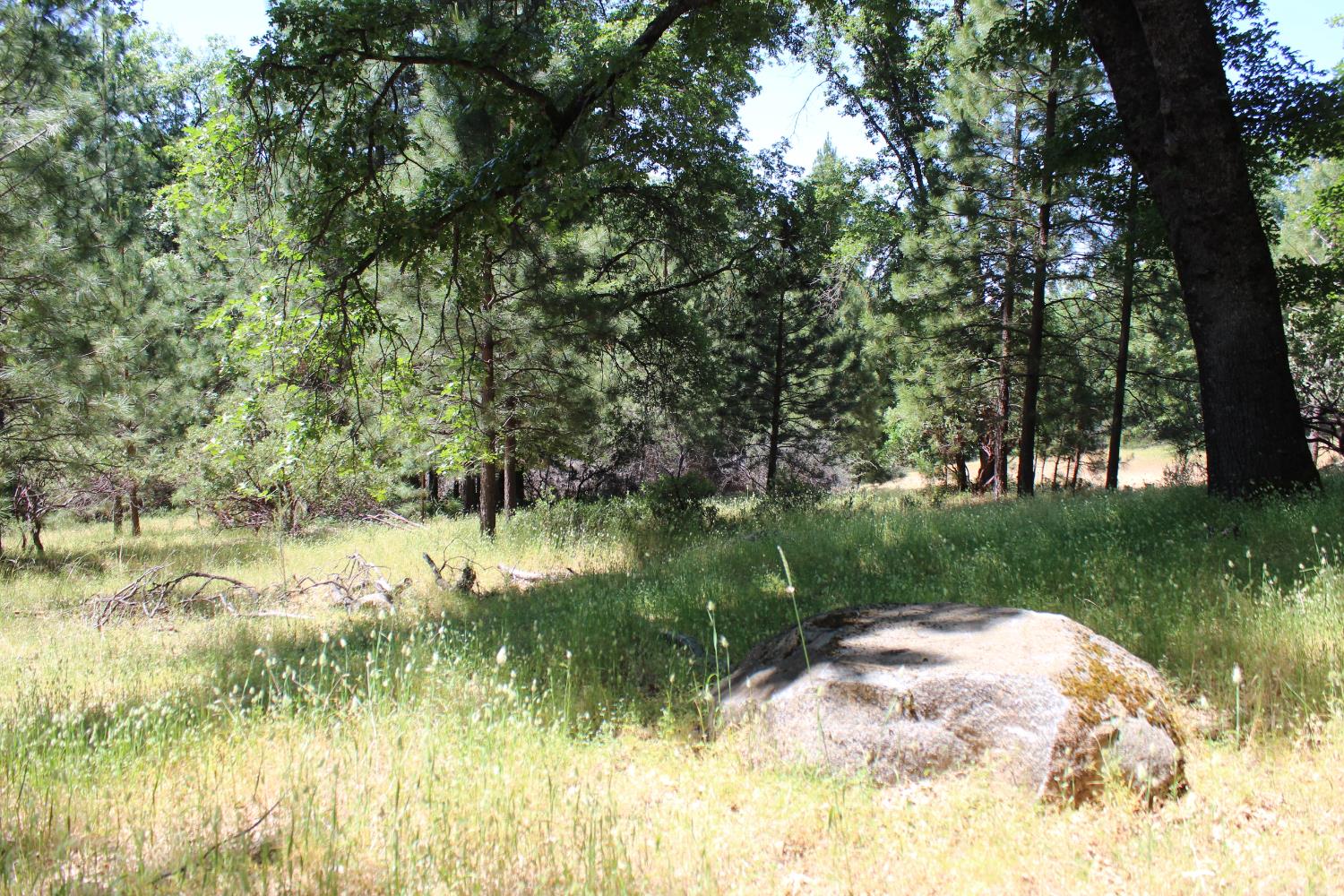 Hwy 26, West Point, California image 1