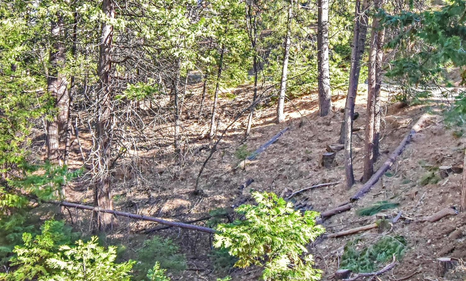 Awahanee Road, Sonora, California image 17