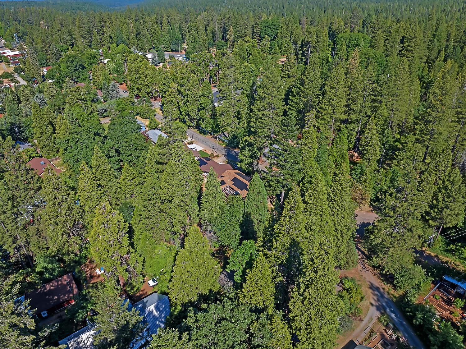 Harrison Street, Foresthill, California image 49