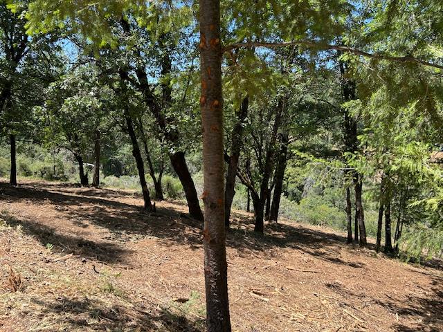 Pearson Road, Grass Valley, California image 23