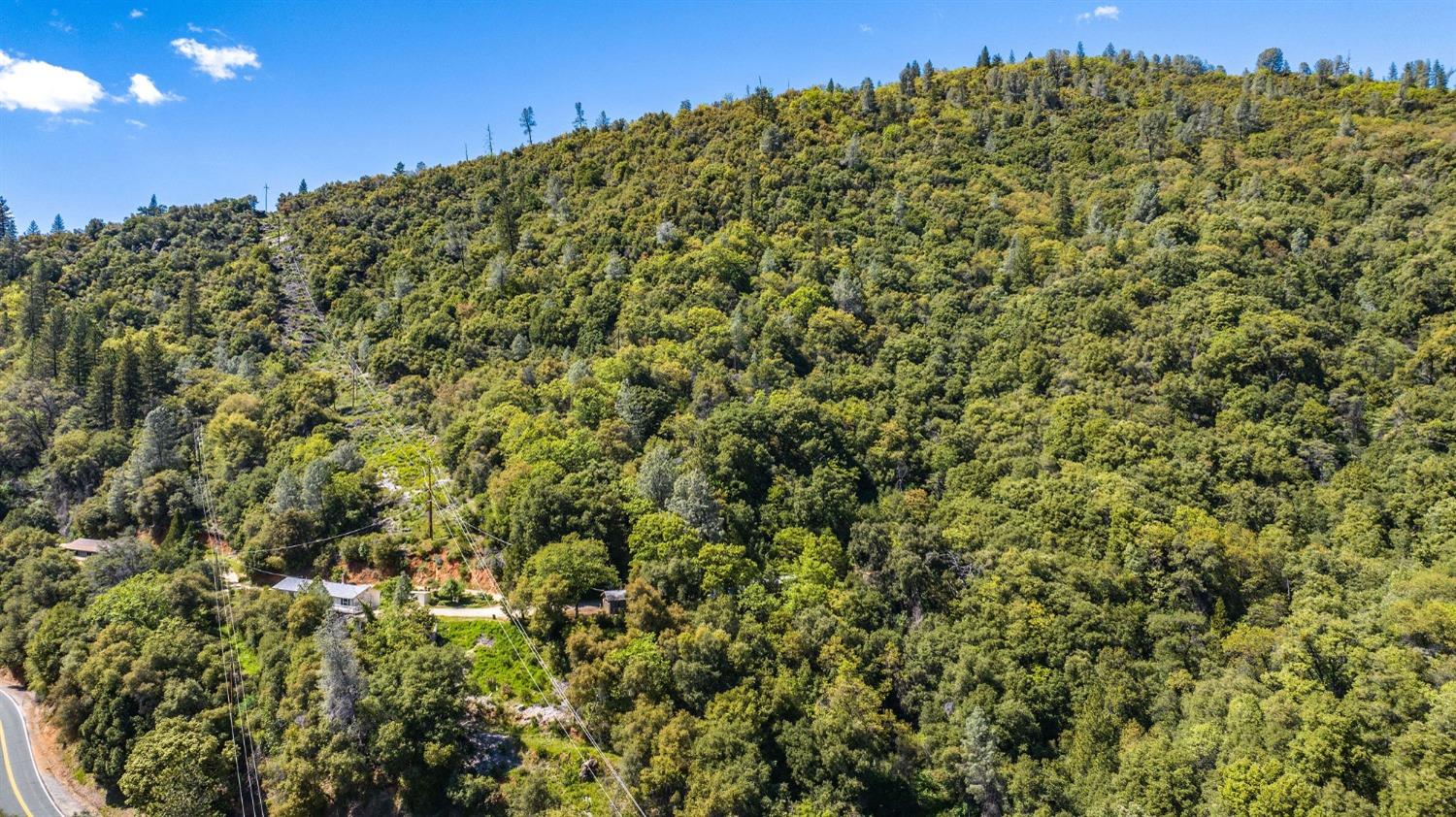 12.55 Acres On Red Corral Rd Road, Pioneer, California image 4