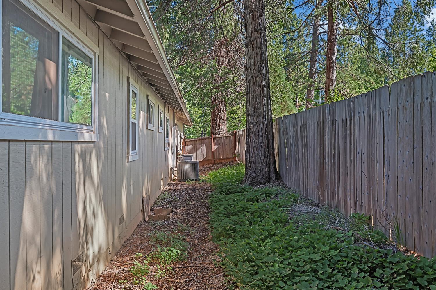 Harrison Street, Foresthill, California image 43