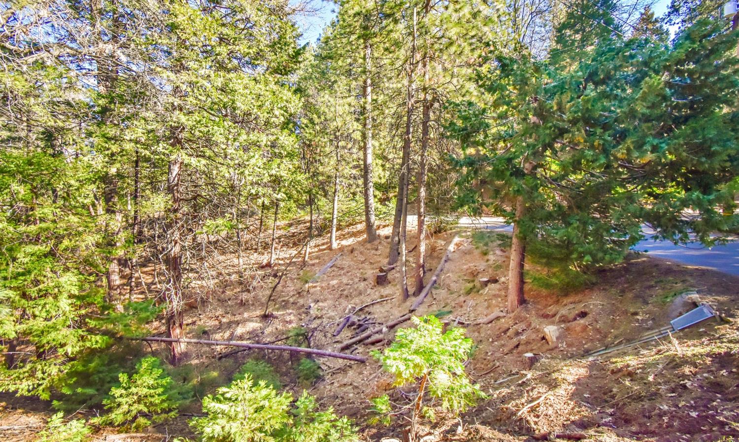 Awahanee Road, Sonora, California image 20