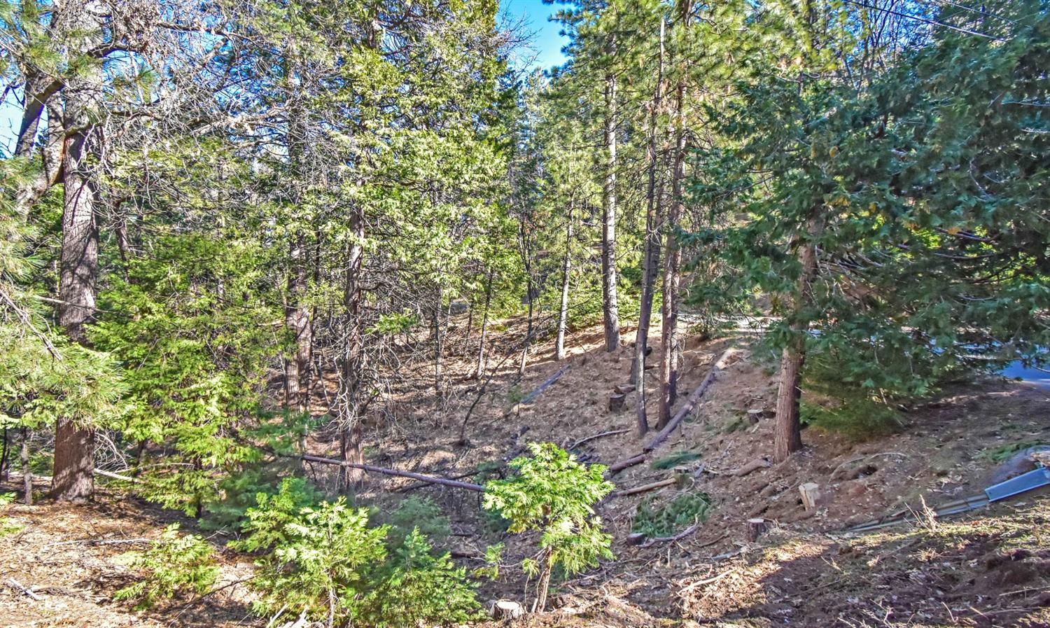 Awahanee Road, Sonora, California image 16