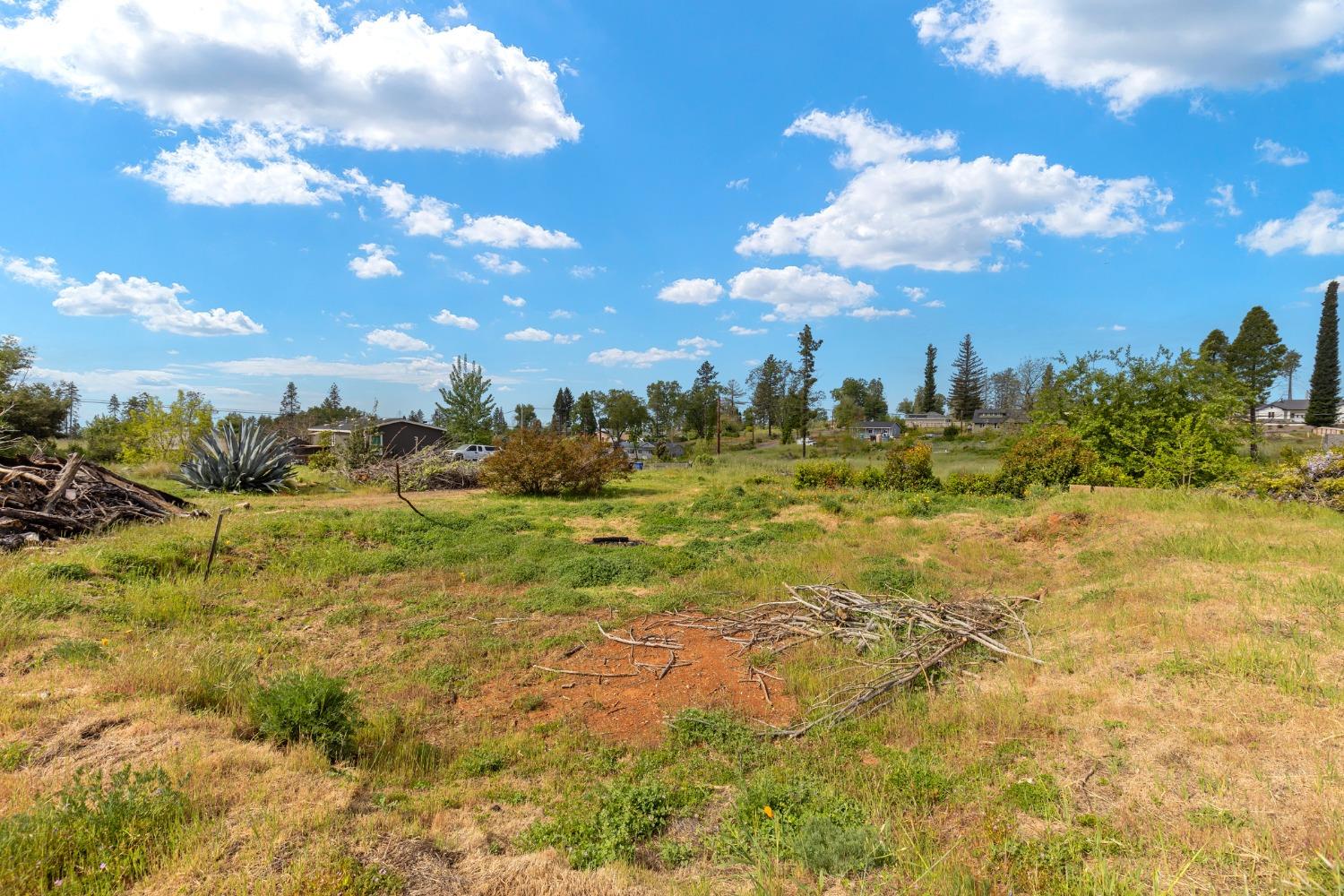 Deerpark Lane, Paradise, California image 7