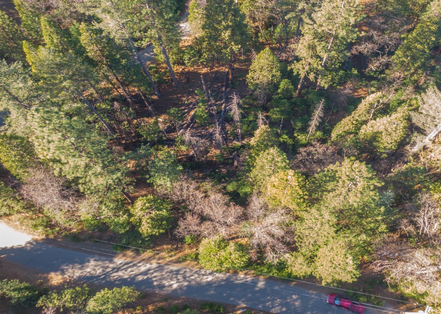 Awahanee Road, Sonora, California image 2