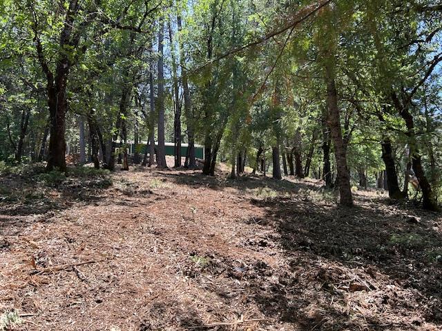 Pearson Road, Grass Valley, California image 32