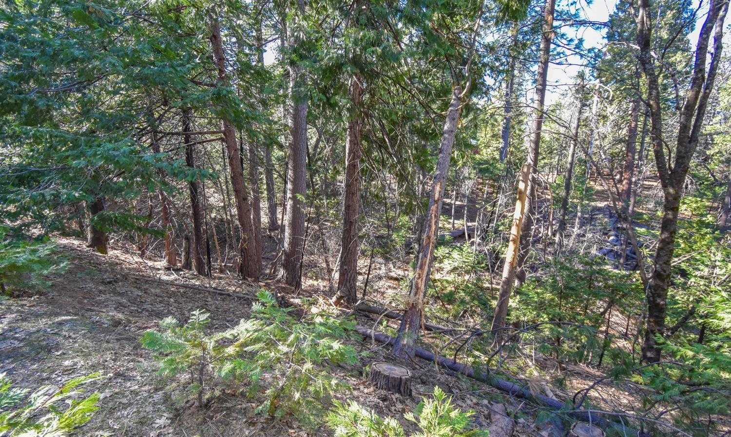 Awahanee Road, Sonora, California image 12