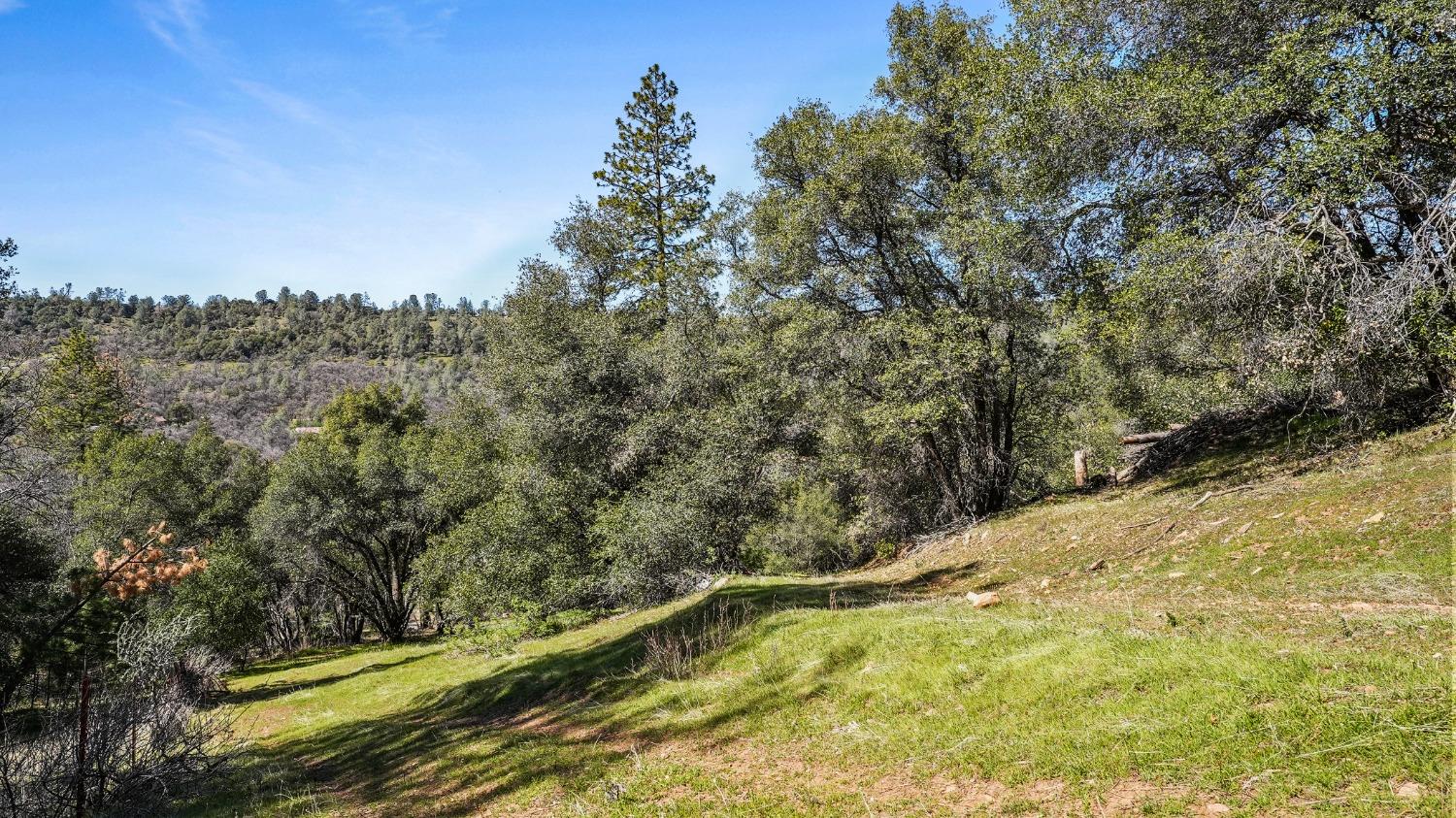 Tuolumne Road, Tuolumne, California image 13
