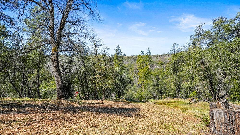 Tuolumne Road, Tuolumne, California image 11