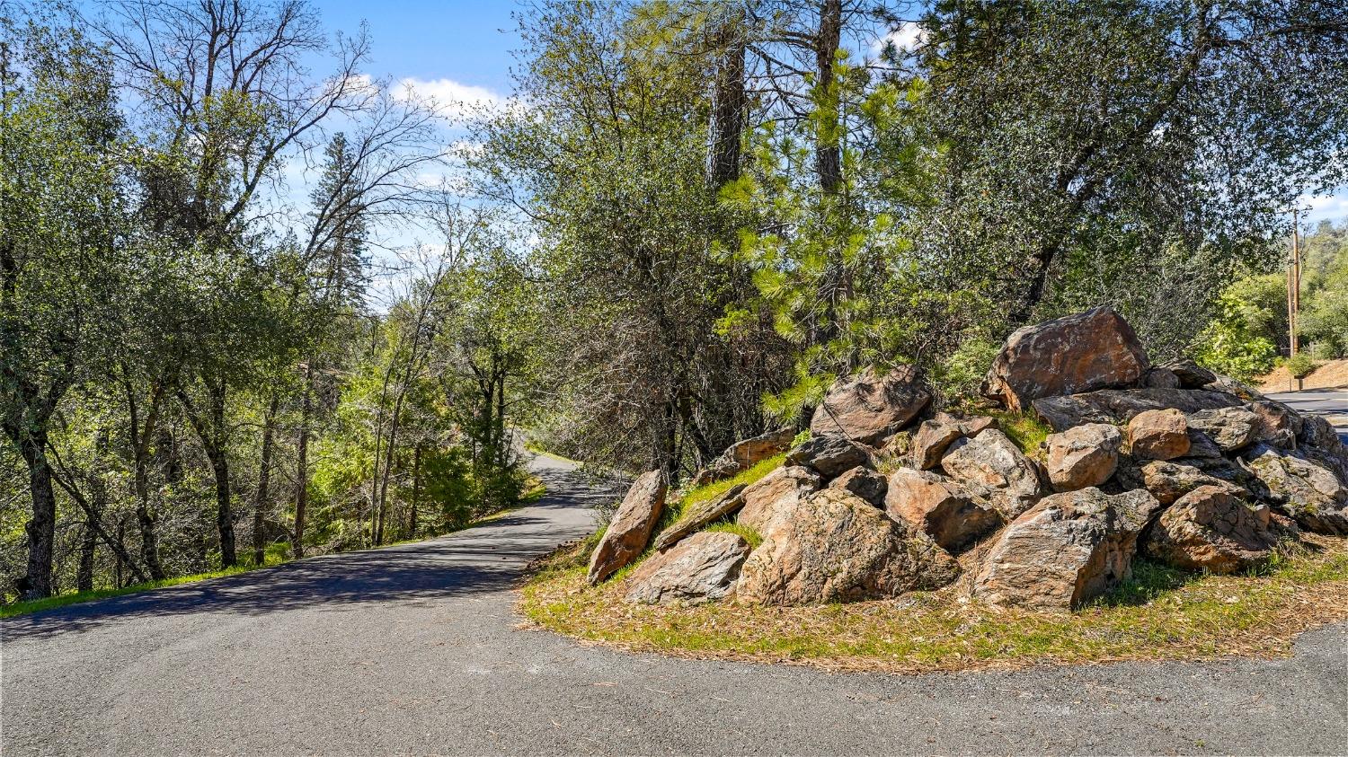 Tuolumne Road, Tuolumne, California image 8