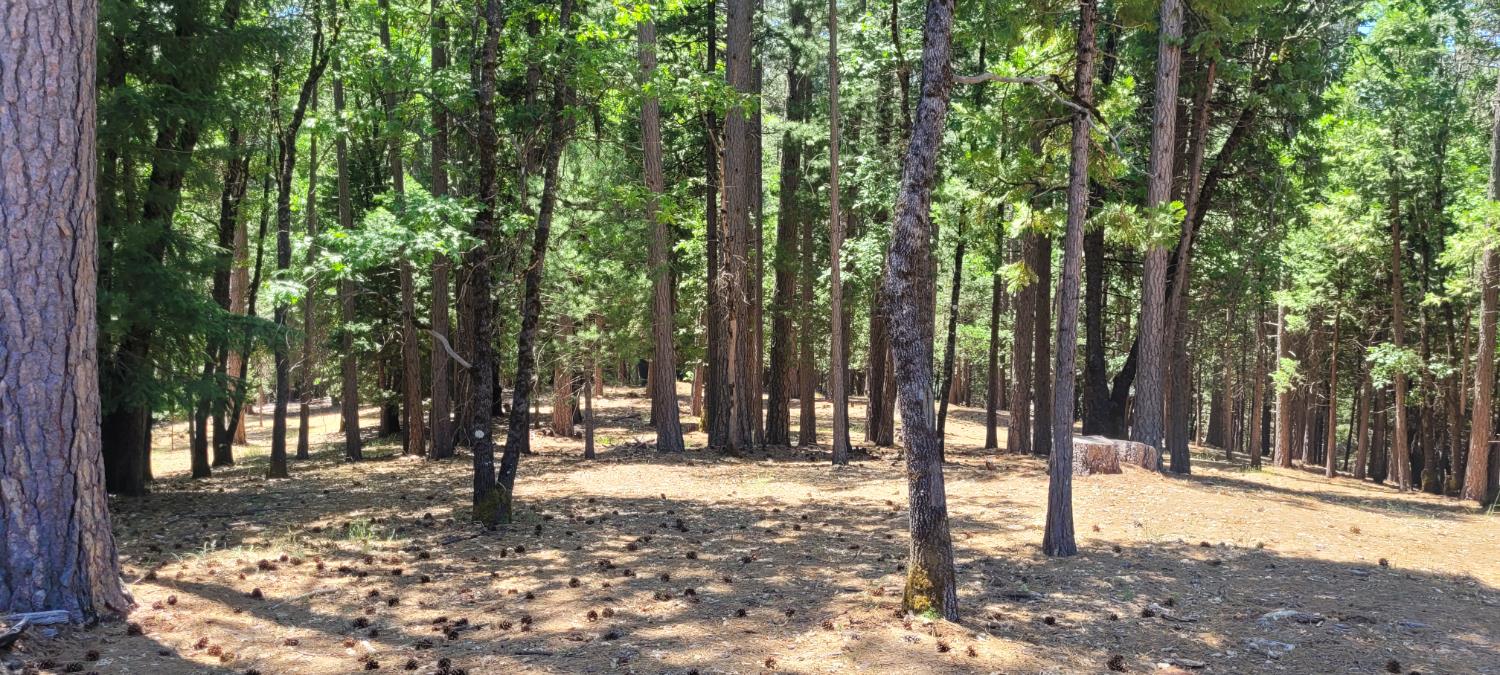 Sierra Springs Drive, Pollock Pines, California image 3