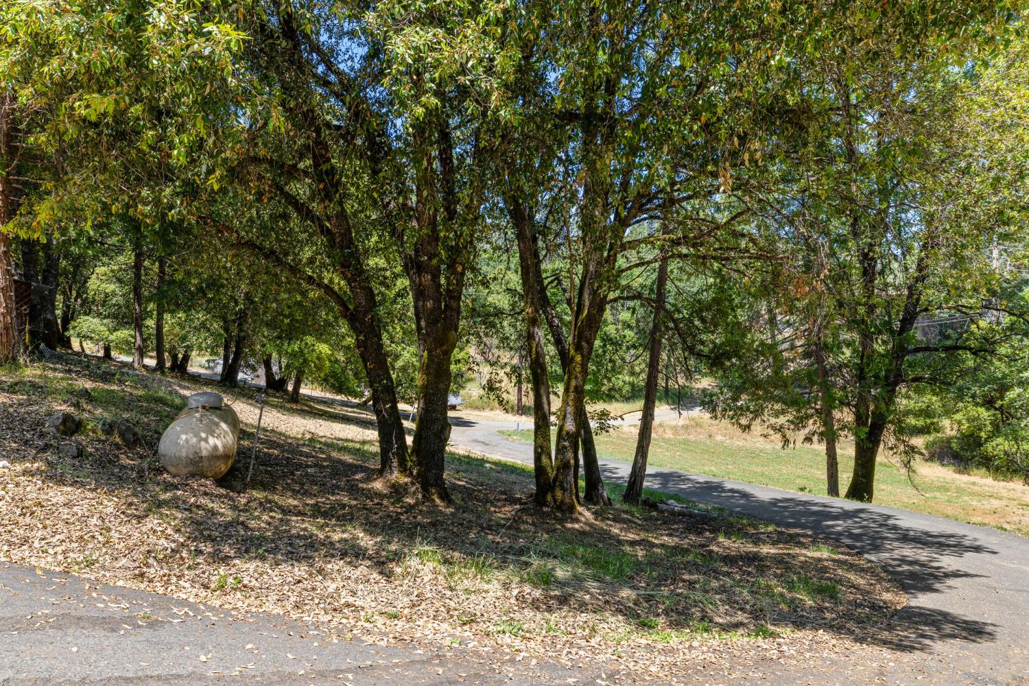 Snows Road, Placerville, California image 38
