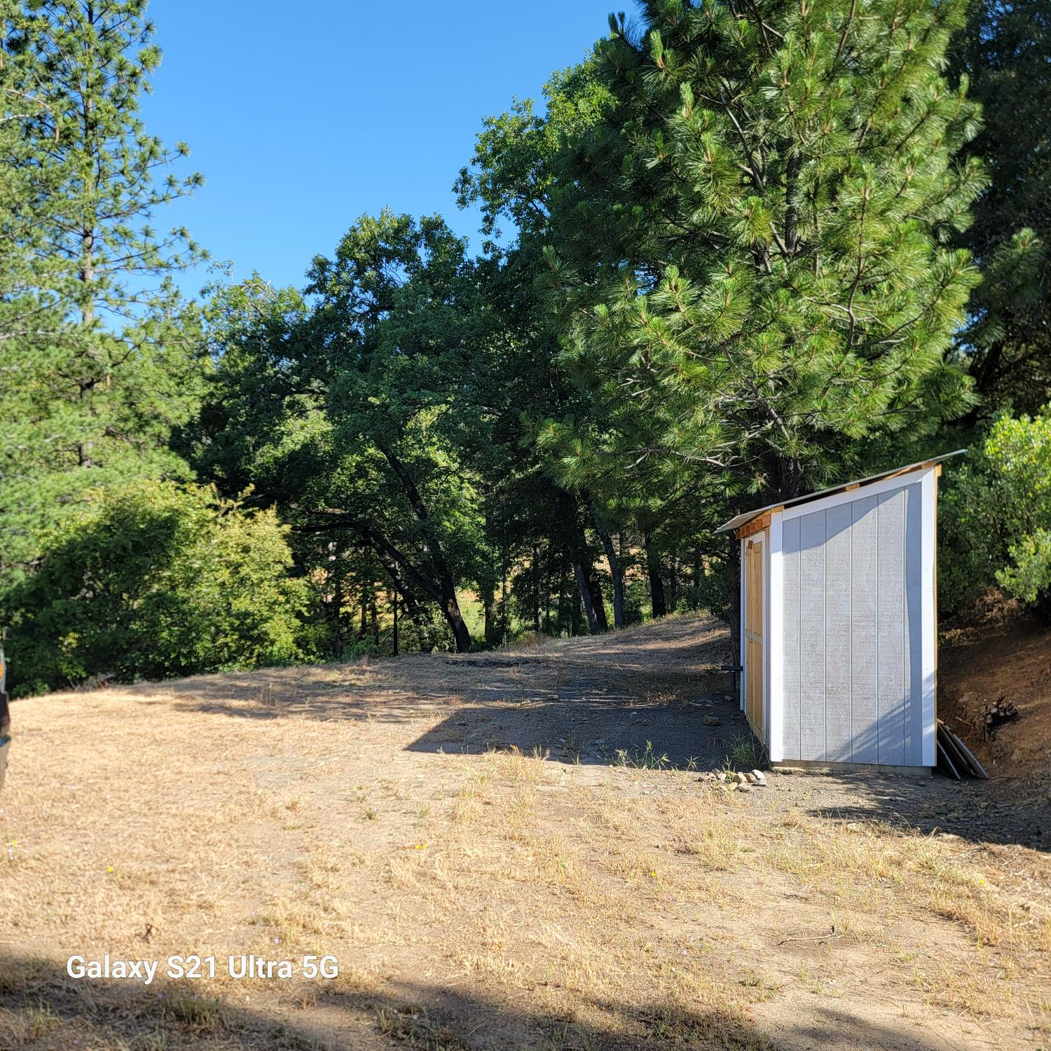 Wildlife Trail, Fiddletown, California image 7