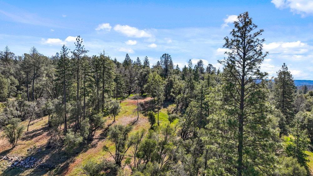 Tuolumne Road, Tuolumne, California image 21