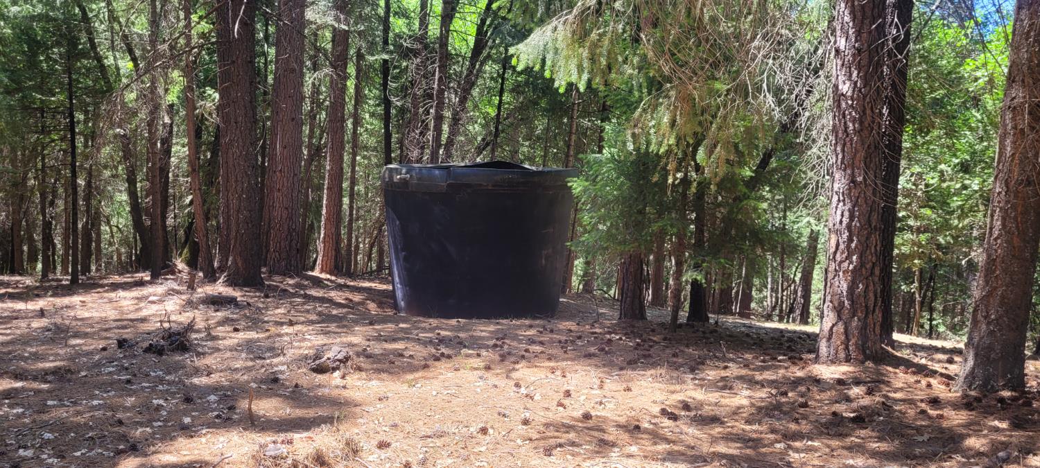 Sierra Springs Drive, Pollock Pines, California image 11