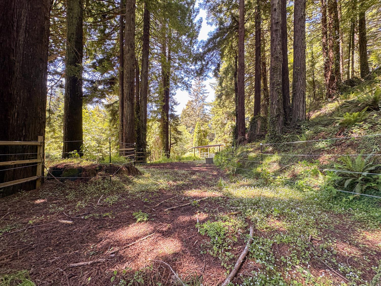Westhaven Dr. N, Trinidad, California image 10