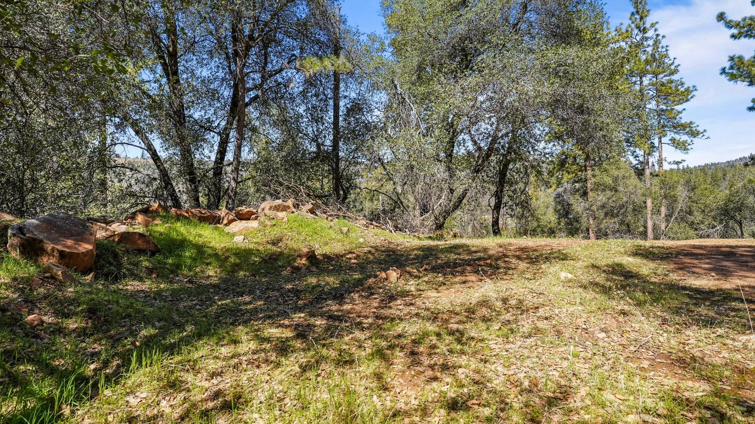 Tuolumne Road, Tuolumne, California image 15