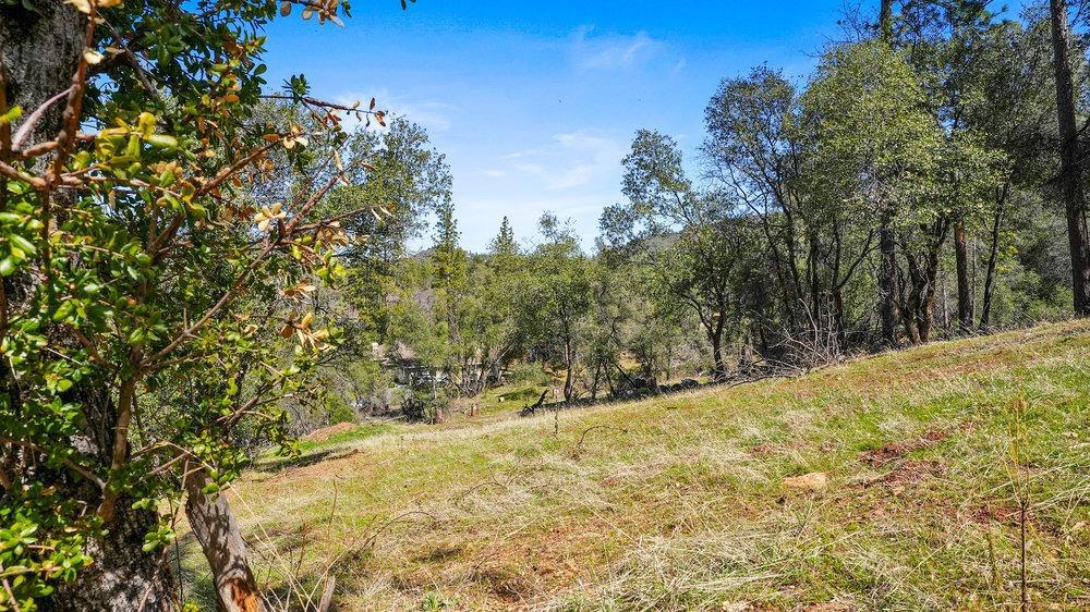Tuolumne Road, Tuolumne, California image 17