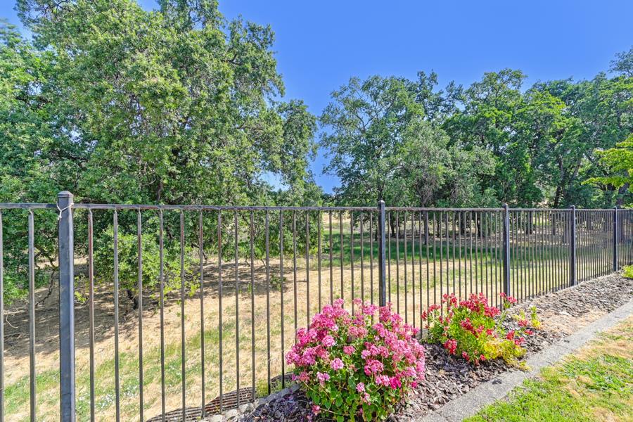 Pioneer Way, Rocklin, California image 32