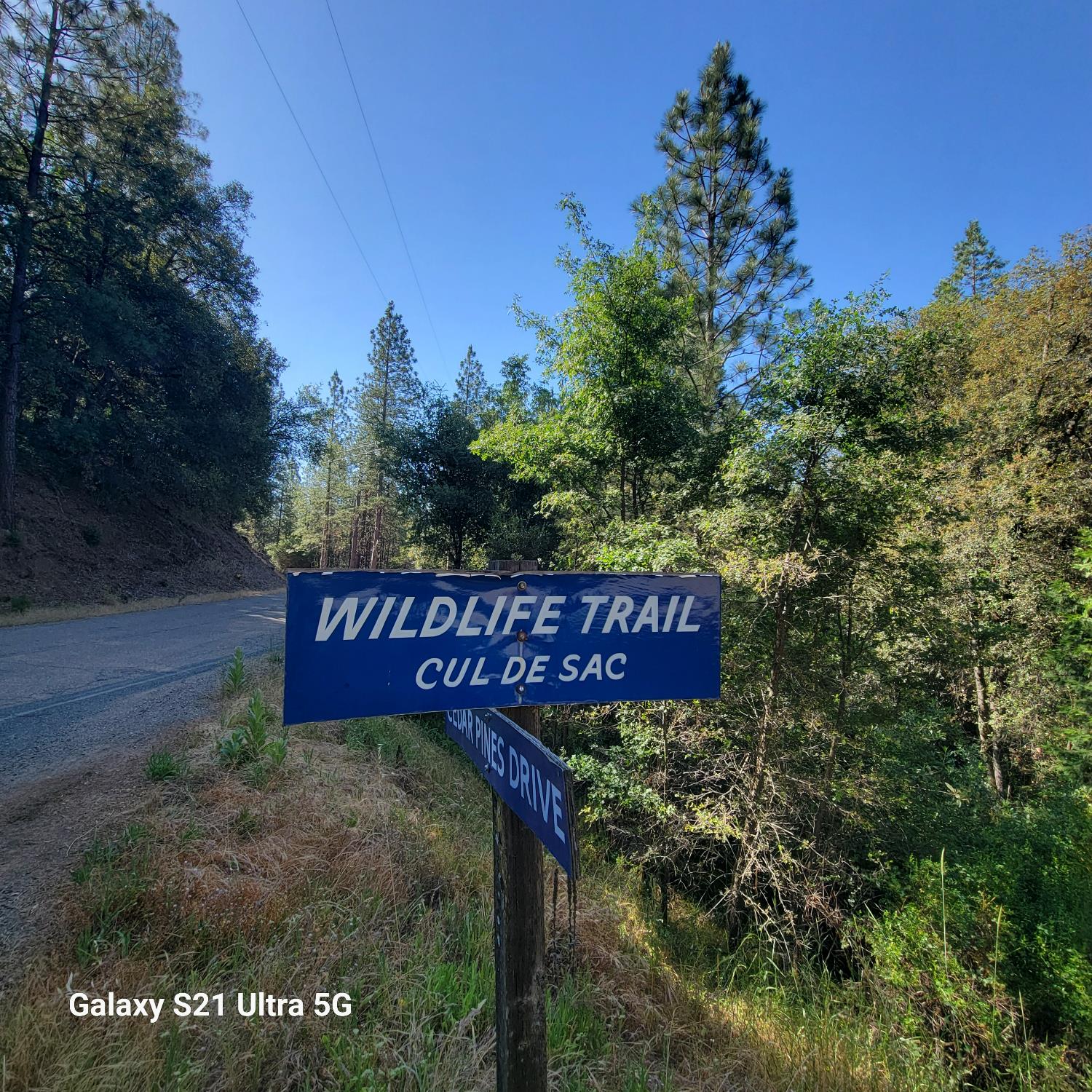 Wildlife Trail, Fiddletown, California image 15