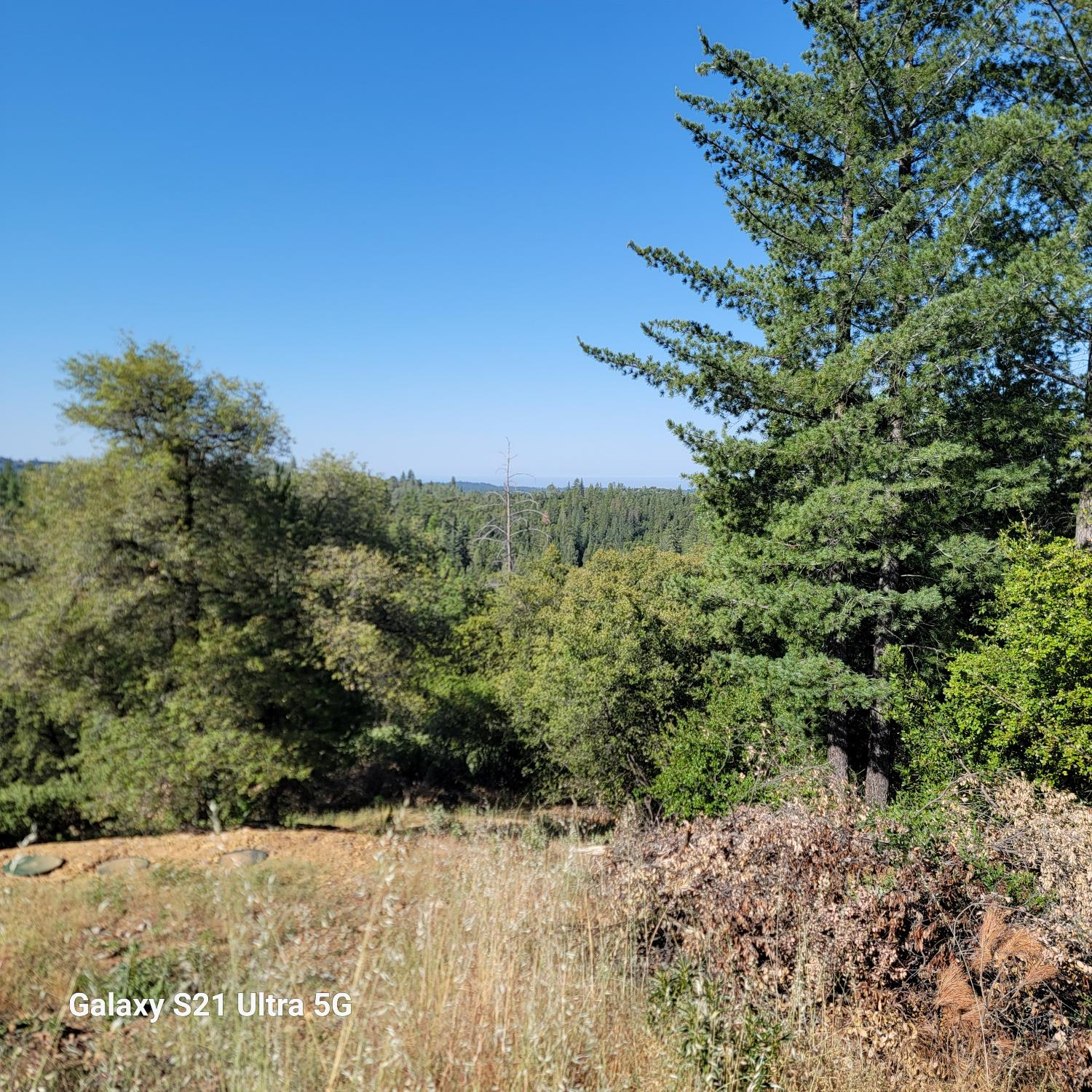 Wildlife Trail, Fiddletown, California image 11