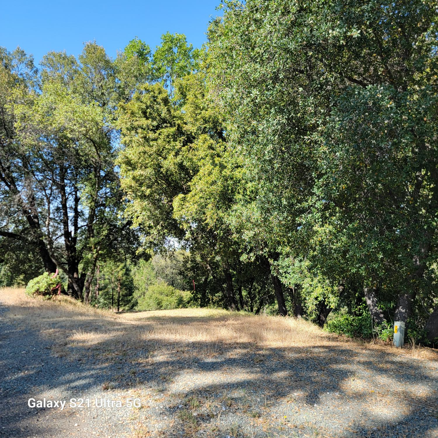 Wildlife Trail, Fiddletown, California image 13