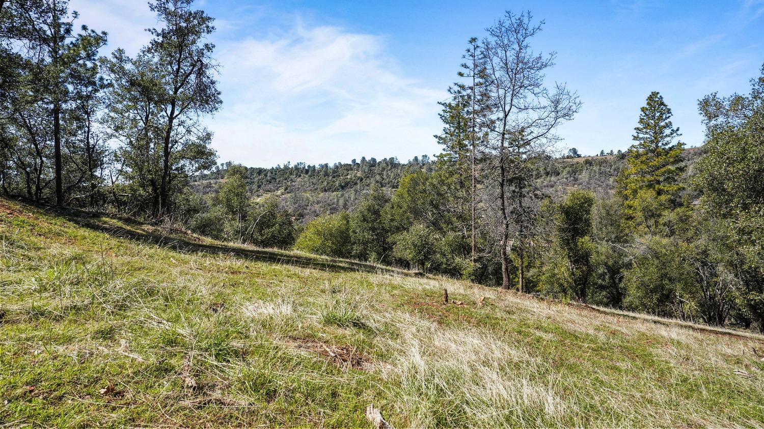 Tuolumne Road, Tuolumne, California image 19