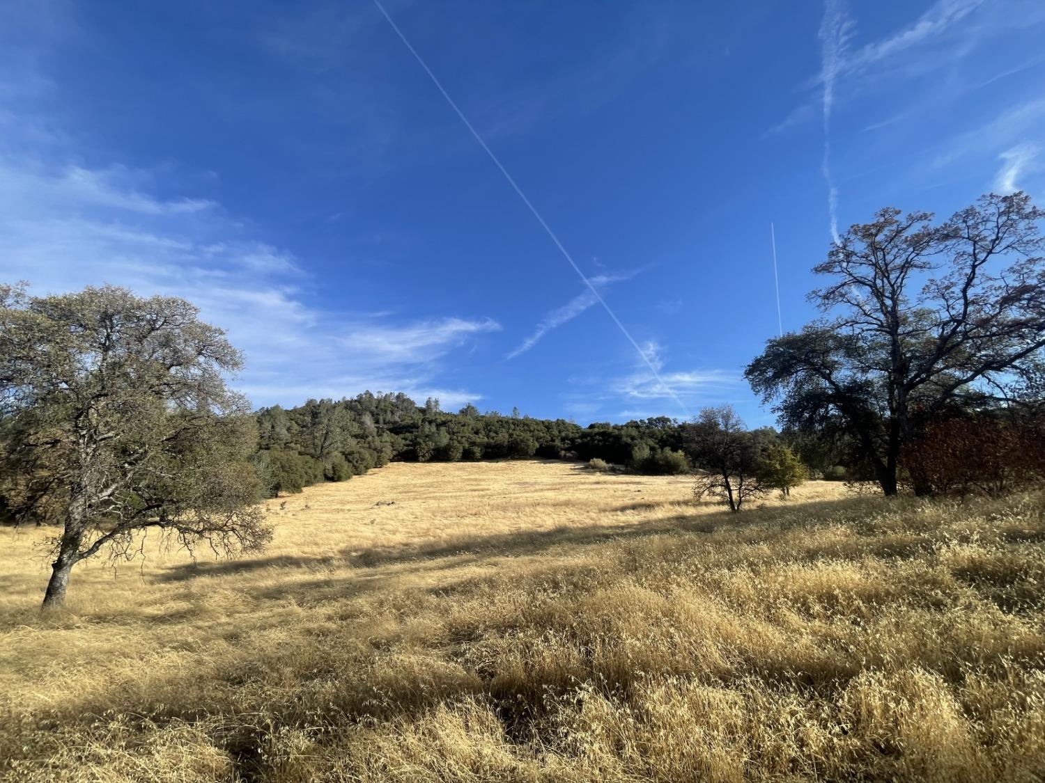 Pleasant Valley Road, North San Juan, California image 8