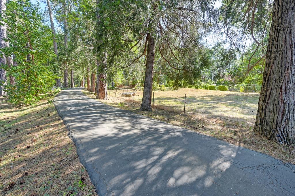 Meadow Vista Road, Meadow Vista, California image 5