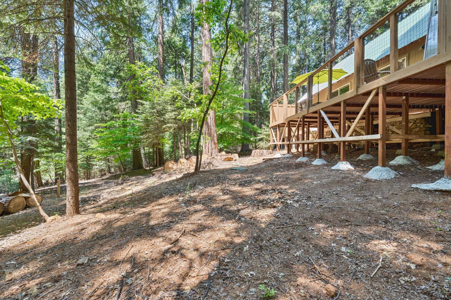 Sly Park Road, Pollock Pines, California image 36