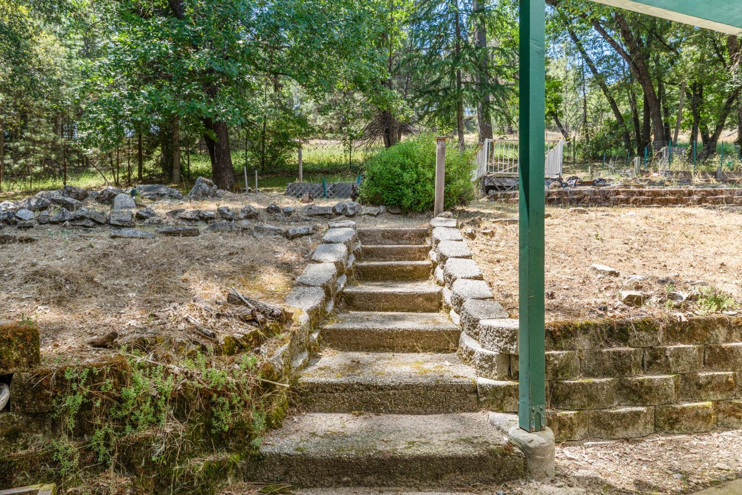 Snows Road, Placerville, California image 36