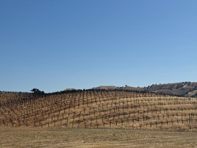 Cabernet Court, Patterson, California image 13