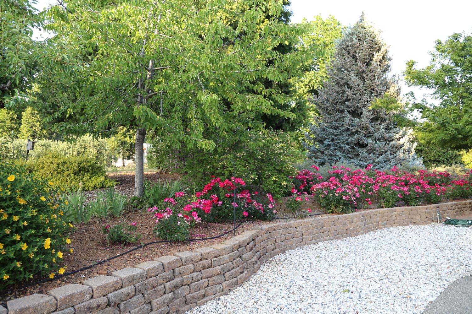 Detail Gallery Image 60 of 78 For 2300 Larsen Dr, Camino,  CA 95709 - 4 Beds | 2 Baths