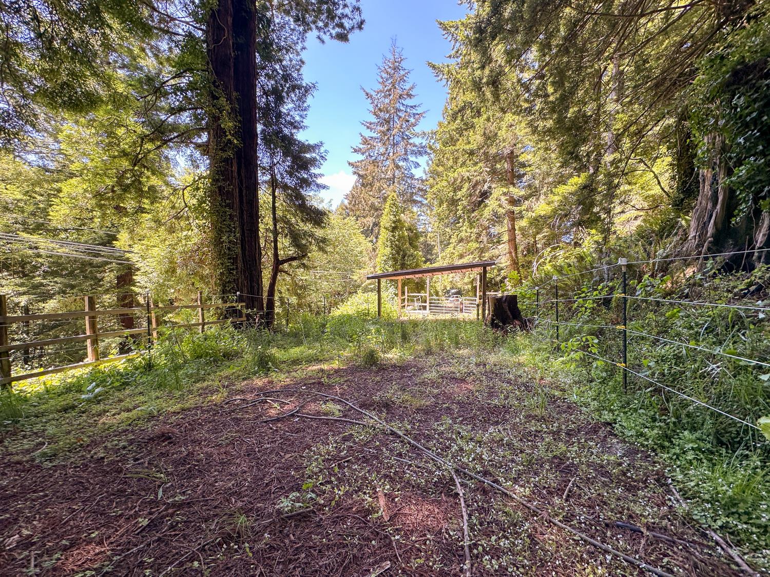 Westhaven Dr. N, Trinidad, California image 11