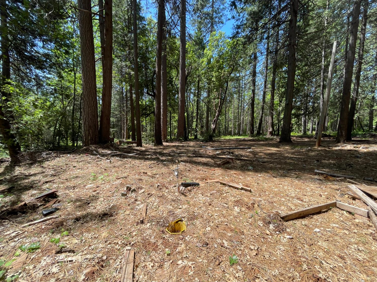 Buckeye Drive, Forbestown, California image 3